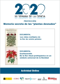 plantas_desnudas.jpg