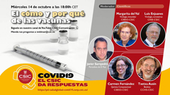 webinar_csic_vacunas.jpg