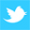 footertwittericon.png