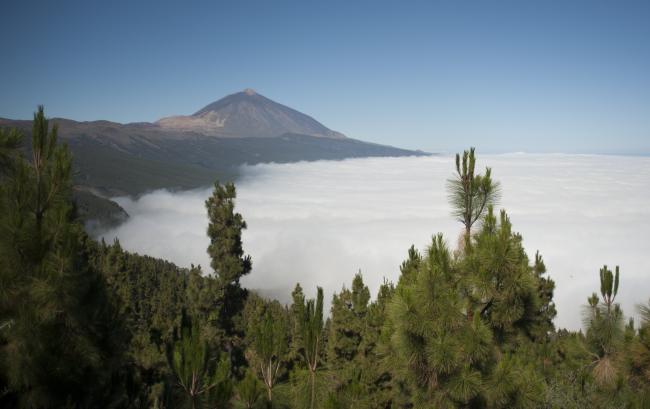 teide_mariagonzalez.jpg