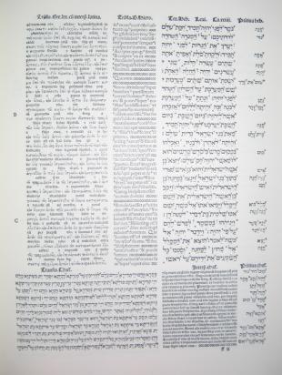Biblical Studies Group