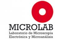 Laboratory of Electron Microscopy and Microanalysis (MicroLab)
