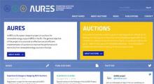 AURES (Auctions for Renewable Energy Support) Pantallazo de la web
