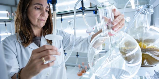 Una investigadora del CSIC en su laboratorio del Instituto Español de Oceanografía./ César Hernández-CSIC Comunicación.
