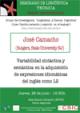 Sesión Extraordinaria del Seminario de Lingüística Teórica LyCC: "Variabilidad s