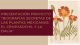 Cartel del evento