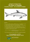 Cartel del seminario