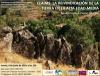 Cartel del seminario
