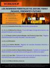 Cartel del workshop